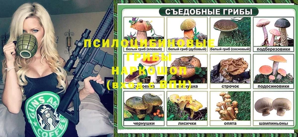 крисы Дмитровск