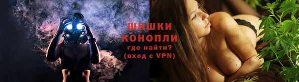 индика Гусь-Хрустальный