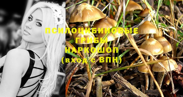 кокаин премиум Дмитриев