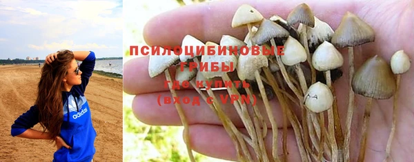 кокаин премиум Дмитриев