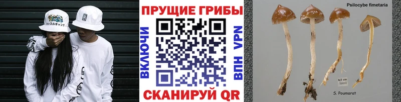 Псилоцибиновые грибы MAGIC MUSHROOMS Батайск